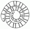 /album/zviratka/spirale02-gif1/