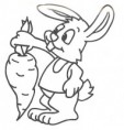 /album/zviratka/hasen101-jpg/
